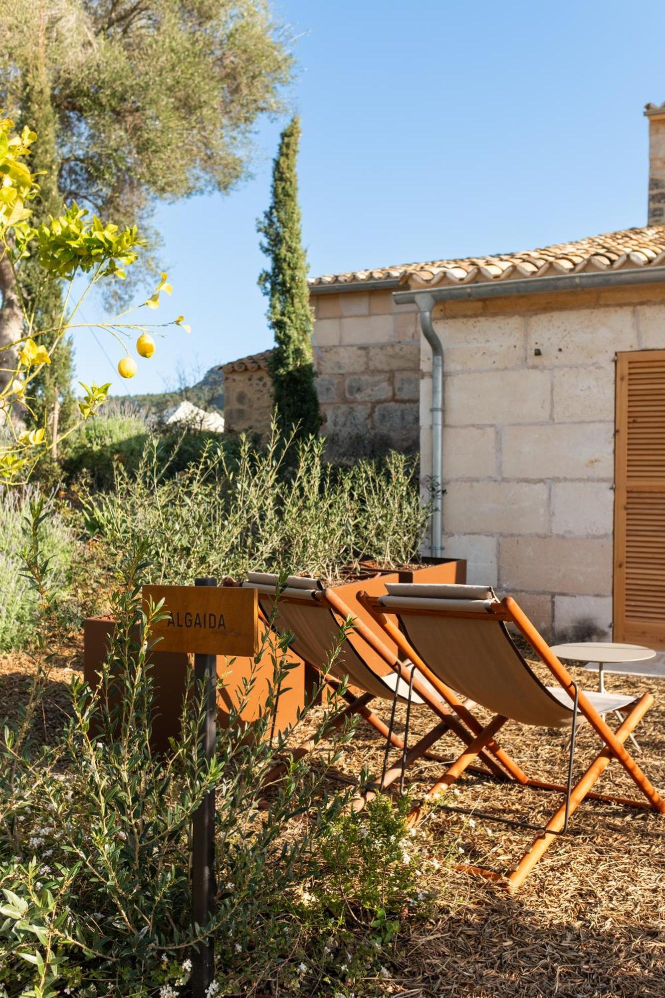 Fincahotel Treurer - Olive Grove & Grand House - Adults Only Algaida  Exterior foto
